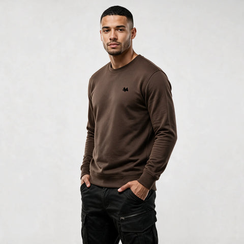 Organic cotton sweatshirt | 679