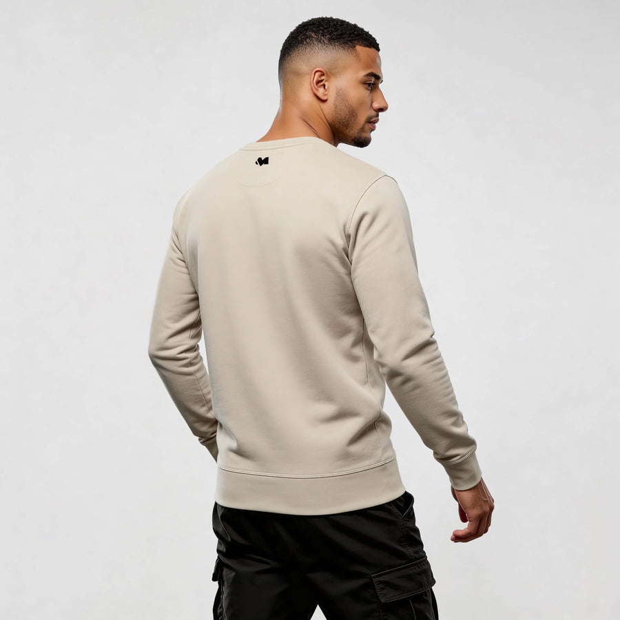 Back view of a man wearing Iconic Streetwear Sweatshirt RO720, showcasing modern minimalist design ideal for urban wear.
