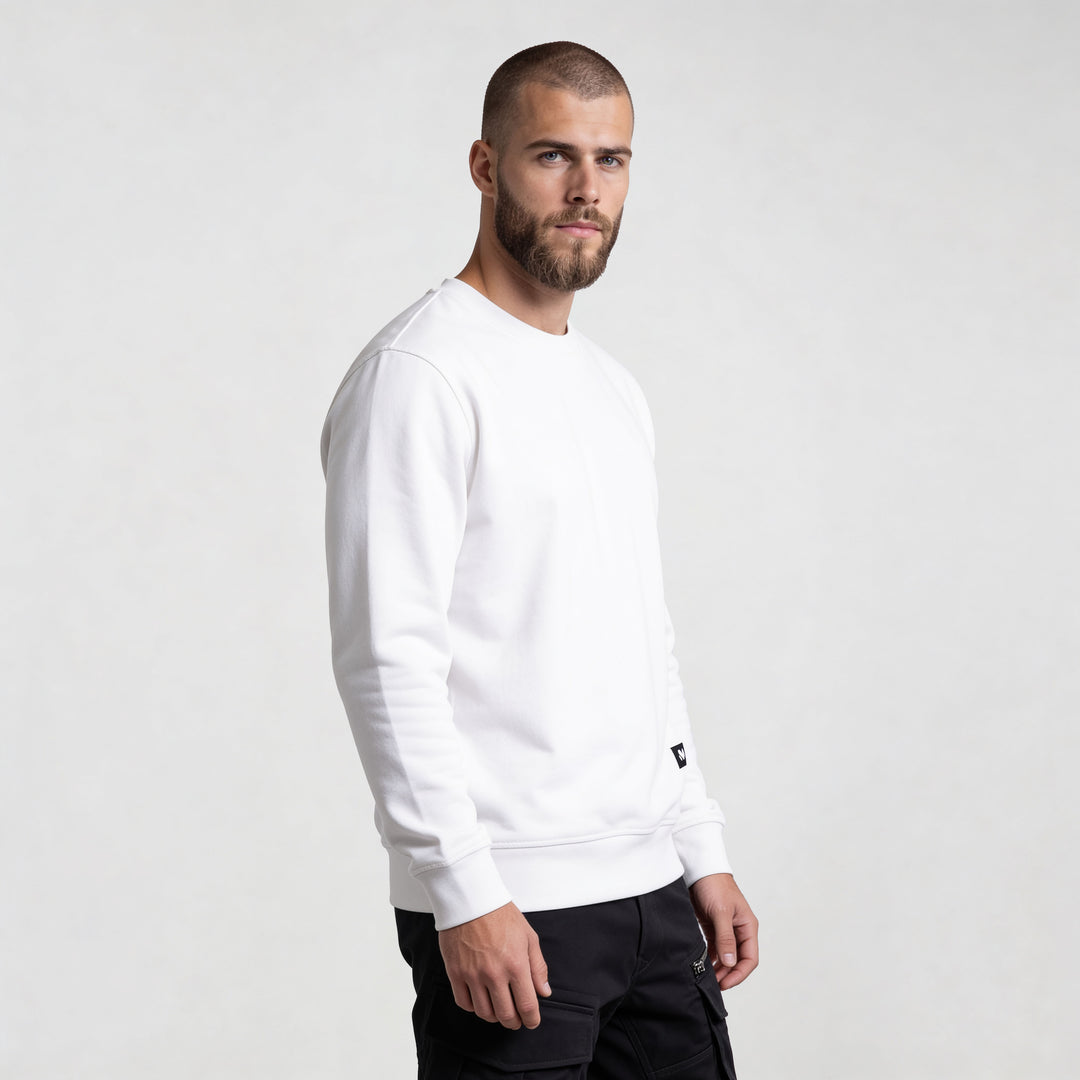 Bluza z bawełny organicznej - Regular Fit | 003