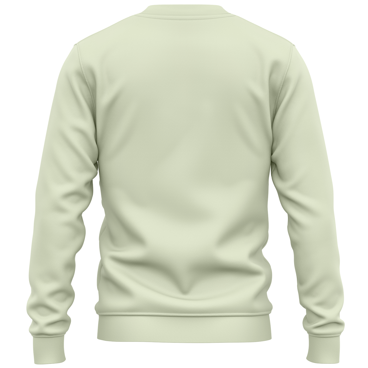 Sweatshirt с щампа